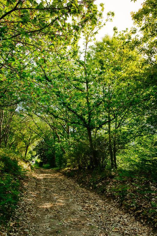 Quinta Da Bouca D'Arques Ξενοδοχείο Vila de Punhe Εξωτερικό φωτογραφία